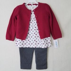 Carter's Baby 3-Peice Sweater Set Size 24mo in‎ Pink, Gray, White w/ Flowers